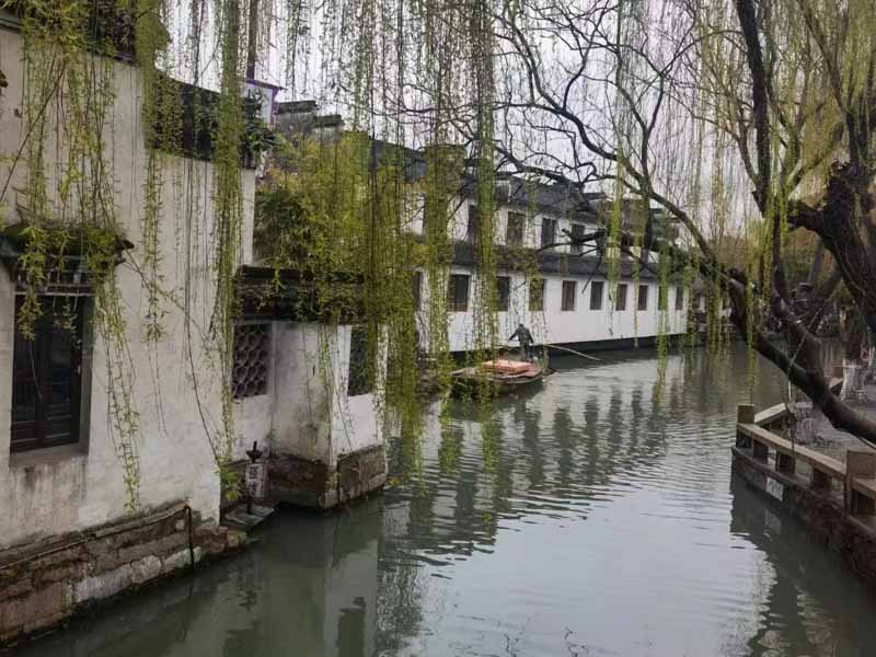 法律知識:上海長寧刑事律師福壽膏有哪些后果