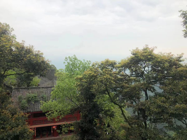 上海打刑事案件的律師來講講用信息網(wǎng)絡(luò)實(shí)施誹謗罪的司法認(rèn)定